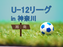 Previous