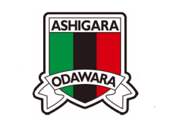 Previous