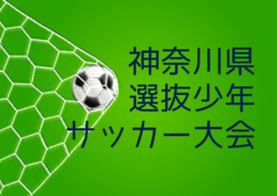 Previous