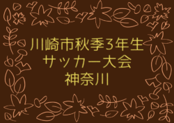 Previous