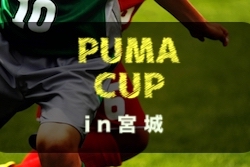 Previous