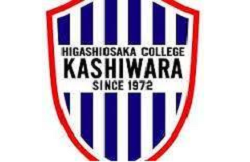 Previous
