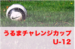 Previous