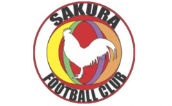 Previous
