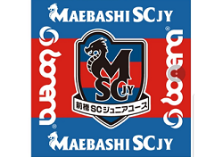 Previous