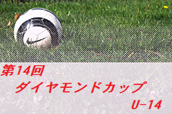Previous