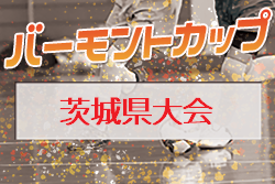 Previous