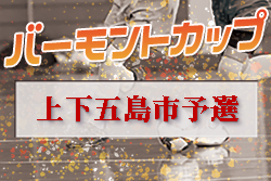 Previous