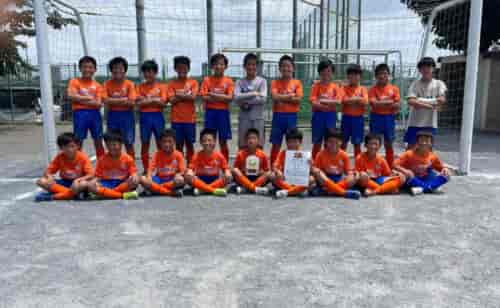 Previous