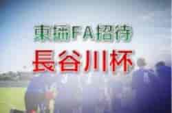Previous